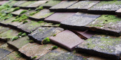 Parc roof repair costs